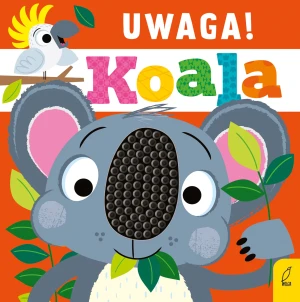 Uwaga, koala! -  - książka
