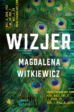 Wizjer - Magdalena Witkiewicz - książka