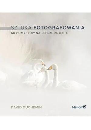 Sztuka fotografowania. 60 pomysłów na lepsze zdjęcia - David duChemin - książka