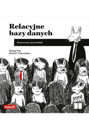 Relacyjne bazy danych. Ilustrowany przewodnik - Qiang Hao - książka