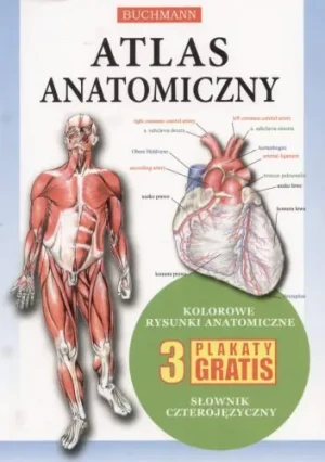 Atlas Anatomiczny - Opracowanie zbiorowe - książka