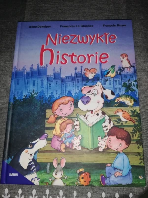 Niezwykłe historie - praca zbiorowa - książka