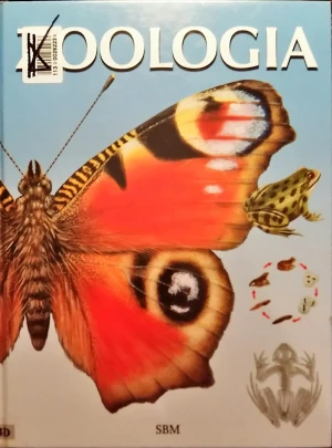 Zoologia - Danuta Zgliczyńska, Zgliczyńska, praca zbiorowa - książka