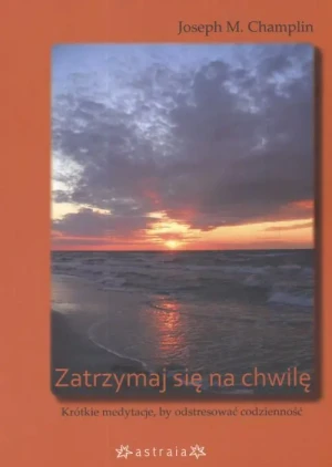 Zatrzymaj się na chwile - Champlin Joseph M. - książka