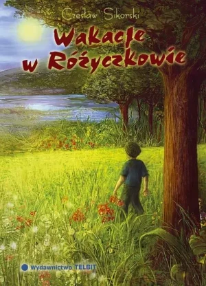 Wakacje w Różyczkowie - Czesław Sikorski - książka