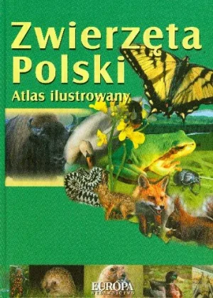 Zwierzęta Polski Atlas ilustrowany - Kokurewicz Dorota - książka