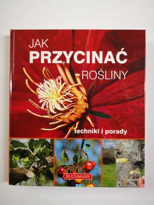 Najważniejsze miejsca święte. Miejsca pielgrzymek, kultu religijnego i duchowej potęgi - Cushnie John - książka