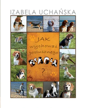 Jak wychować posłusznego beagla - Izabela Uchańska  - Uchańska Izabela - książka