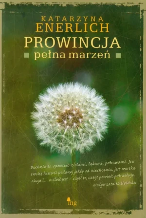 Prowincja pełna marzeń - Katarzyna Enerlich - książka