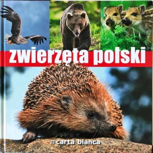 Zwierzęta Polski - Opracowanie zbiorowe - książka
