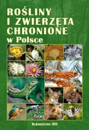 Rośliny i zwierzęta chronione  w Polsce - praca zbiorowa - książka