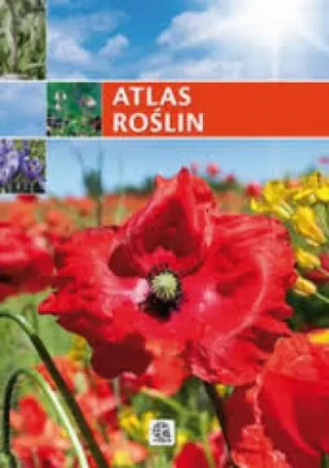 Atlas roślin - PRACA ZBIOROWA - książka