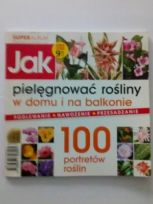 Jak pielęgnować rośliny w domu i na balkonie - Grażyna Skibicka - książka