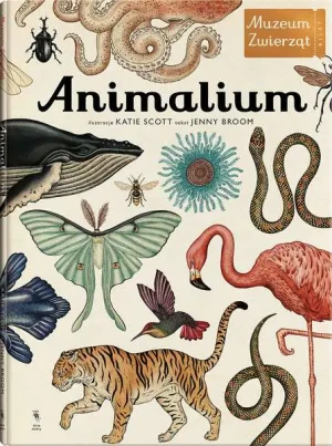 Animalium - Jenny Broom - książka