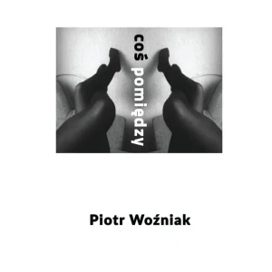 Coś pomiędzy - Piotr Woźniak - Stieg Larsson - książka