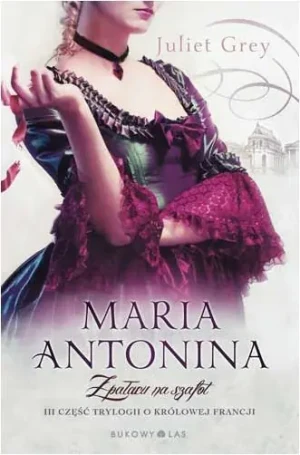 Maria Antonina. Z pałacu na szafot - Juliet Grey - książka