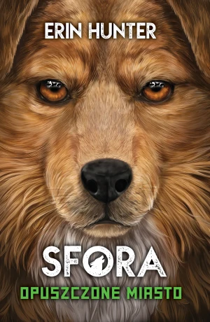 Opuszczone miasto. Sfora. Tom 1 - Erin Hunter - książka