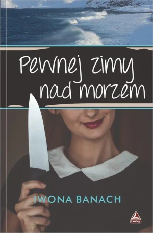 Pewnej zimy nad morzem - Iwana Banach - książka