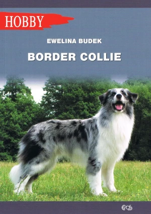 Border collie - Ewelina Budek - książka