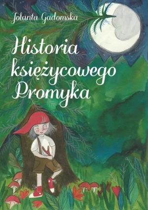 Historia księżycowego Promyka - Jolanta Gadomska - książka