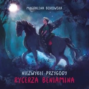 Niezwykłe przygody rycerza Beniamina - Magdalena Borowska - książka