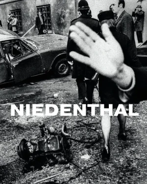 Niedenthal - Chris Niedenthal, Katarzyna Puchalska, Anna Brzez - książka