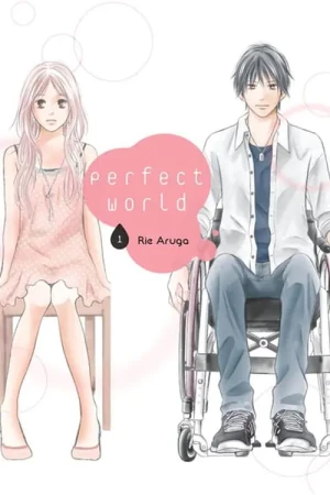 Perfect World. Tom 1 - Aruga Rie - książka