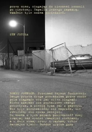 Syn Jezusa - Johnson Denis - książka