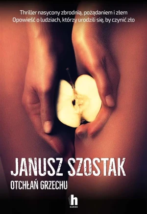 Otchłań grzechu - Janusz Szostak - książka