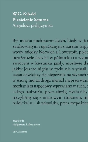 Pierścienie Saturna - W.G. Sebald, Małgorzata Łukasiewicz - książka