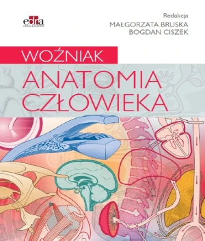 Anatomia człowieka - praca zbiorowa - książka