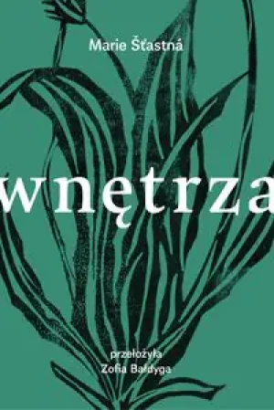 Wnętrza - Izabela Morska - książka