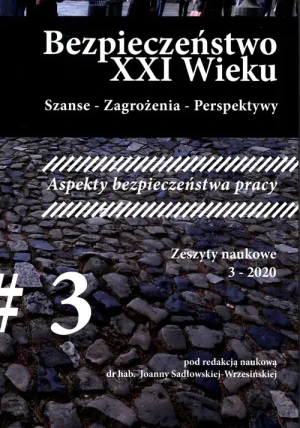 Bezpieczeństwo XXI Wieku - praca zbiorowa - książka