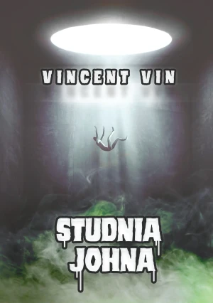 Studnia Johna - Vincent Vin - książka