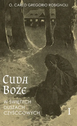 Cuda Boże w świętych duszach czyśćcowych. Tom 1 - Carlo Gregorio Rossignoli - książka