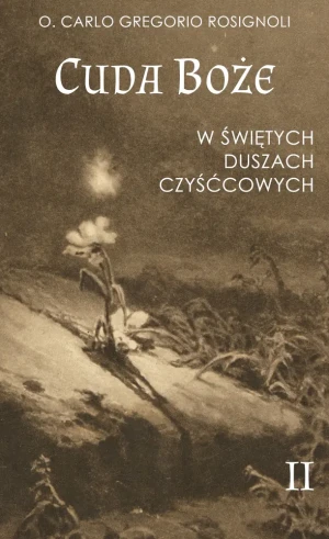Cuda Boże w świętych duszach czyśćcowych Tom II - O. Carlo Gregorio Rossignoli - książka