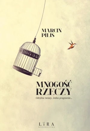 Mnogość rzeczy - Marcin Pilis - książka
