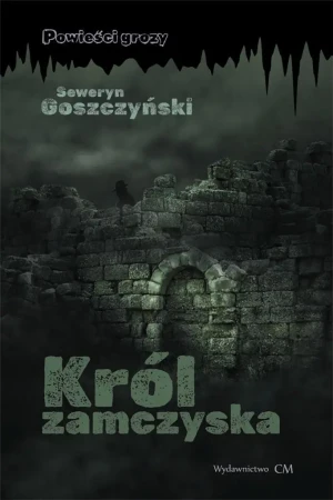 Król zamczyska - Seweryn Goszczyński - książka