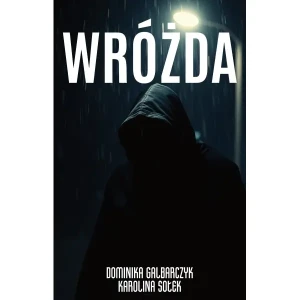 Wróżda - Sołek Karolina - książka