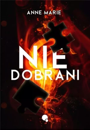 Niedobrani - Anne Marie - książka