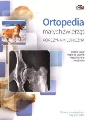 Ortopedia małych zwierząt. Kończyna miednicza - Ignacio Calvo - książka