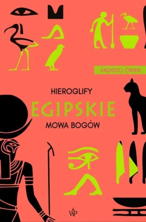 Hieroglify egipskie - Andrzej Ćwiek - książka