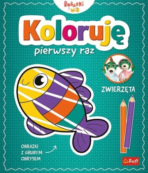 Książka aktywizująca Bobaski i Miś, Koloruję pierwszy raz. Zwierzęta -  - książka