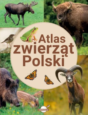 Atlas zwierząt Polski - Krzysztof Ulanowski - książka