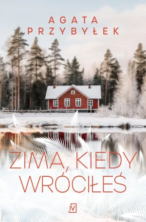 Zima, kiedy wróciłeś - Agata Przybyłek - książka