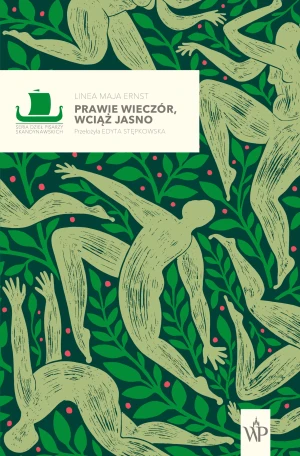 Prawie wieczór, wciąż jasno - Maja Linea Ernst - książka