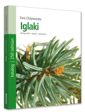 Iglaki - Chojnowska Ewa - książka