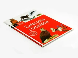 Zwierzęta chronione - praca zbiorowa - książka