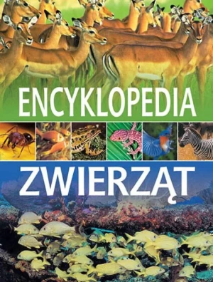 Encyklopedia zwierząt - praca zbiorowa - książka