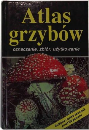 Atlas grzybów - Fluck Markus - książka